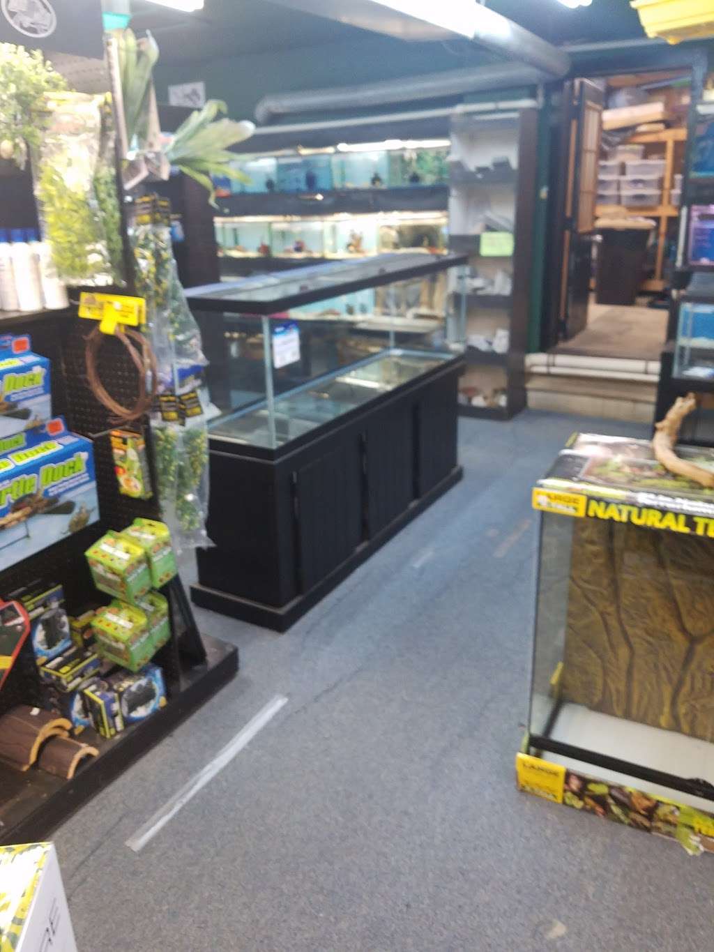 Woodlawns Tropical Fish & Pet | 5804 Windsor Mill Rd, Gwynn Oak, MD 21207 | Phone: (410) 944-1129