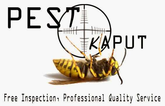 Pest Kaput Chelmsford Pest Control | Pest Control Chelmsford, Broomfield, Chlelmsford CM1 1TB, UK | Phone: 07923 245817