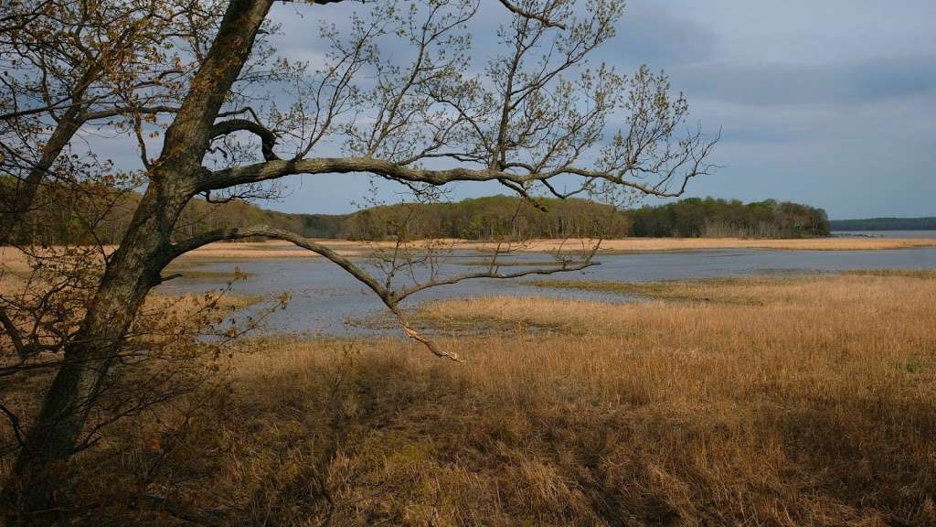 Elizabeth Hartwell Mason Neck National Wildlife Refuge | High Point, Lorton, VA 22079, USA | Phone: (703) 490-4979