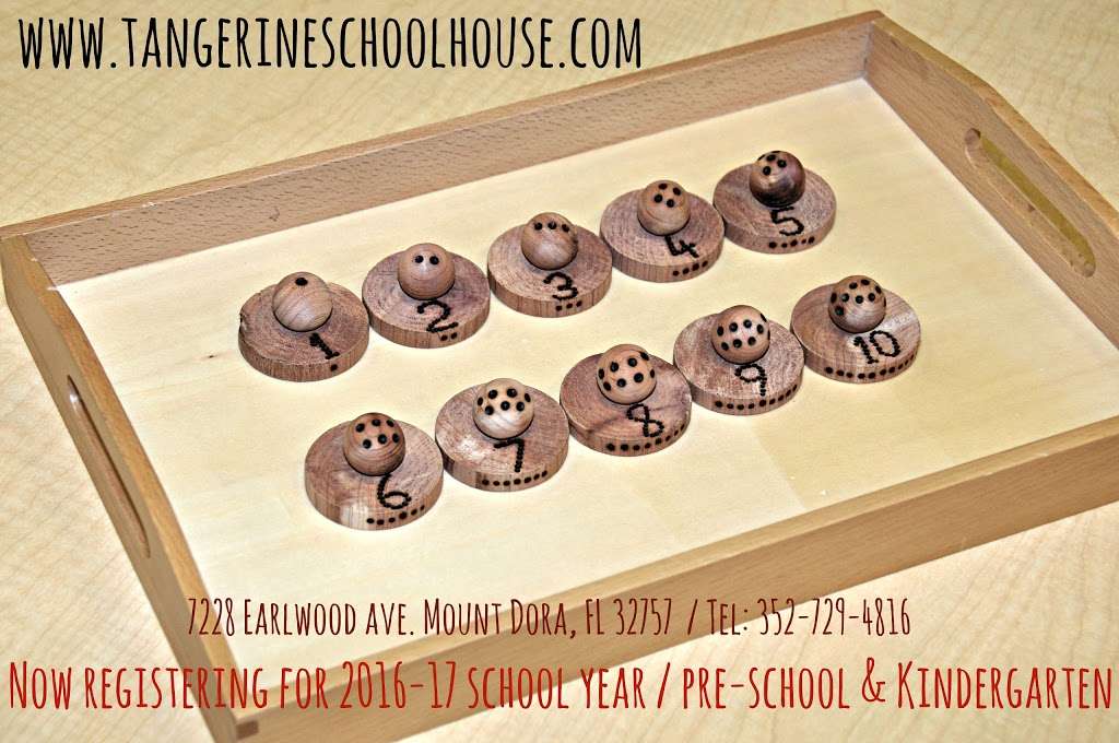 Tangerine Schoolhouse | 7228 Earlwood Ave, Mt Dora, FL 32757 | Phone: (352) 729-4816