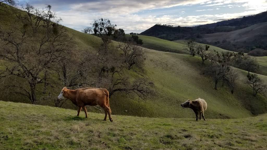 Sunol Visitor Center | 1895 Geary Rd, Sunol, CA 94586, USA | Phone: (510) 544-3245