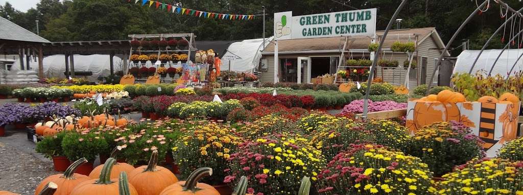 Green Thumb Garden Center | 3750 S White Horse Pike, Hammonton, NJ 08037 | Phone: (609) 610-6352