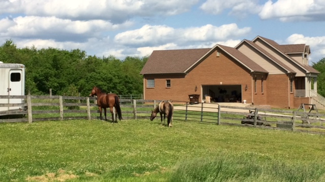 Bluegrass Equestrian Services, LLC | 137 Coal Ridge Ln, Georgetown, KY 40324, USA | Phone: (586) 255-3561