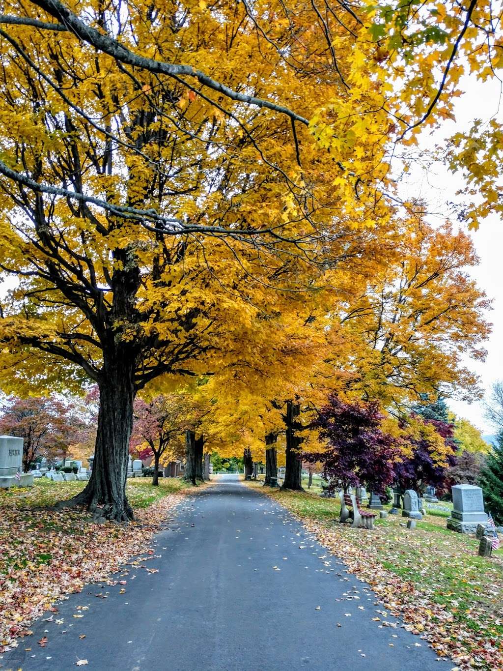 St Marys Cemetery | 1594 S Main St, Wilkes-Barre, PA 18706, USA | Phone: (570) 822-6941