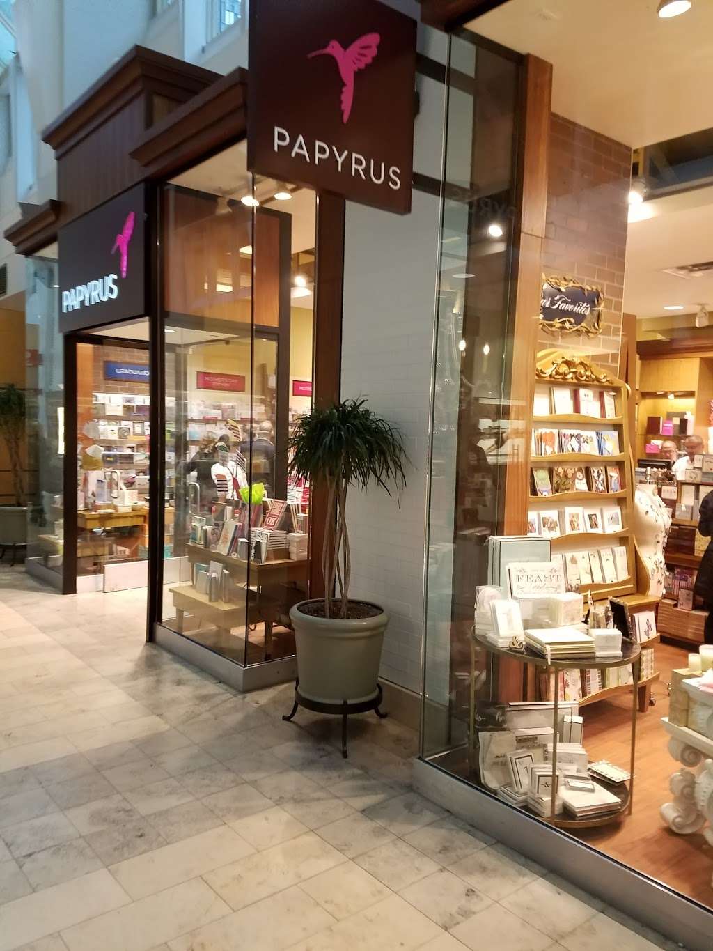 Papyrus | 800 Boylston St, Boston, MA 02199, USA | Phone: (617) 262-6520