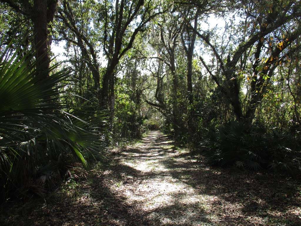 Sherwood L. Stokes Preserve | 7598 Lake Marion Creek Rd, Haines City, FL 33844, USA | Phone: (863) 534-7377