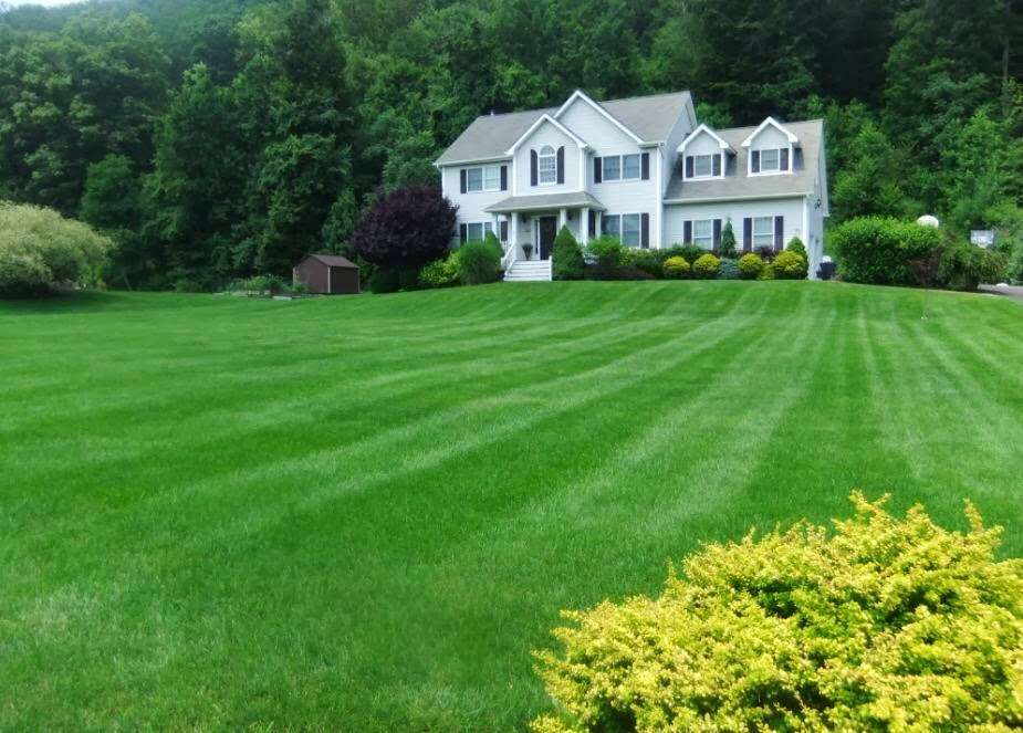 Lawn Dawg | 469 River Rd #1, Hudson, MA 01749 | Phone: (978) 763-7000