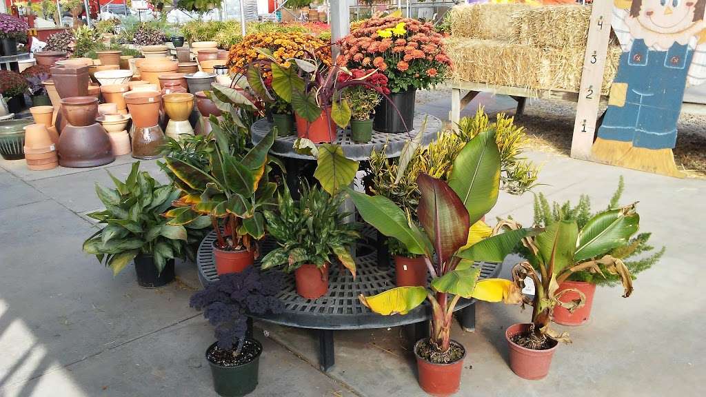 Hoffman Garden Center | 30699 US-12, Volo, IL 60073, USA | Phone: (815) 344-1990