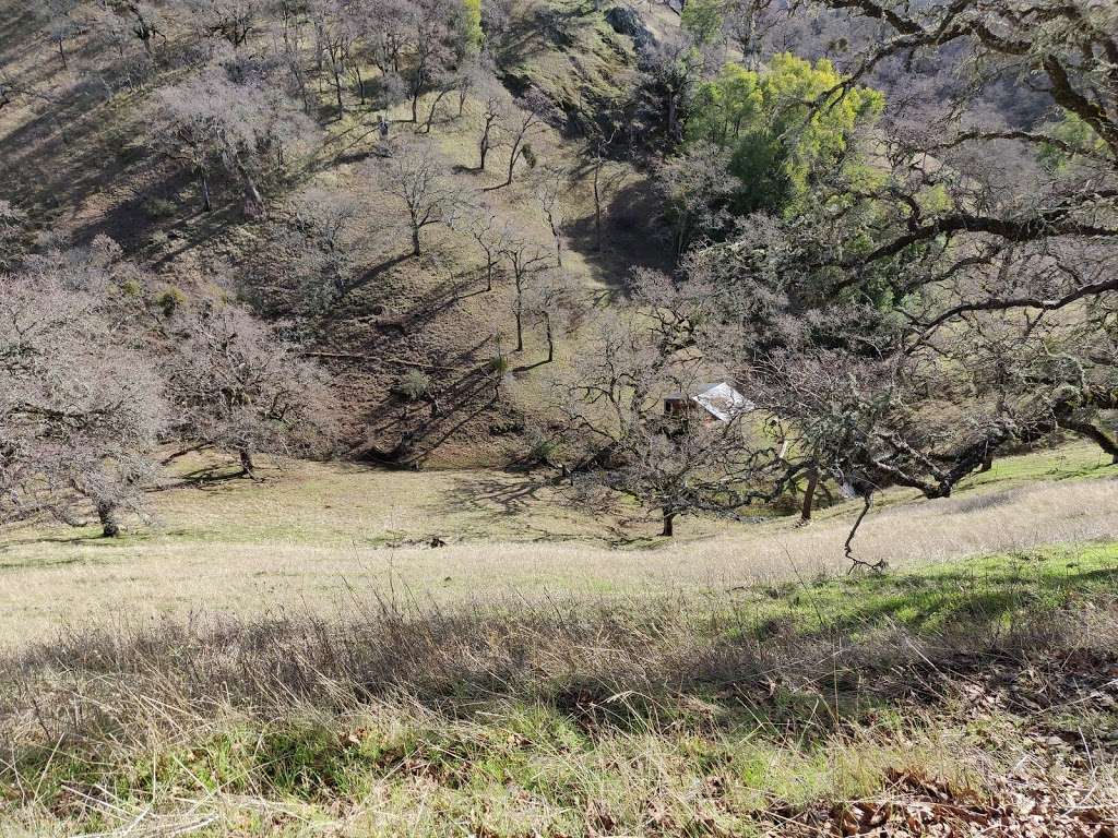 Blue Oak Ranch Reserve | 16070 Mt Hamilton Rd, Mt Hamilton, CA 95140, USA | Phone: (307) 760-8031