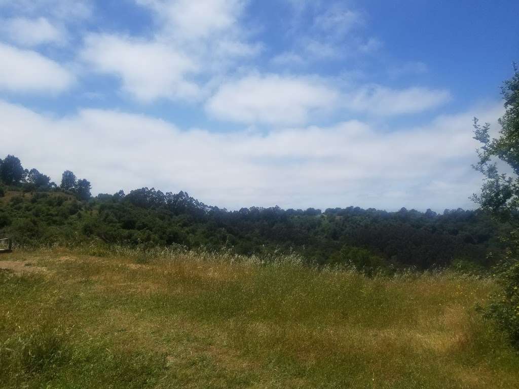 Quarry Trail Bench | Quarry Trail, Orinda, CA 94563, USA