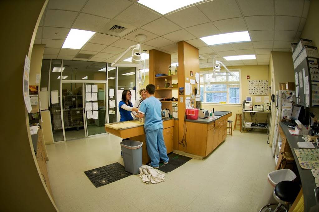 Treehouse Animal Clinic | 2000 Moores Mill Rd NW, Atlanta, GA 30318, USA | Phone: (404) 355-7387