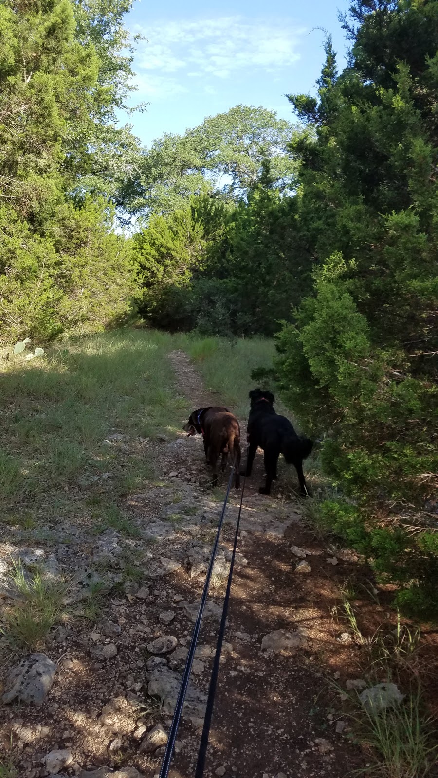 Buttercup Creek Cave Preserve | 2004 Burnie Bishop Pl, Cedar Park, TX 78613, USA | Phone: (512) 401-5500