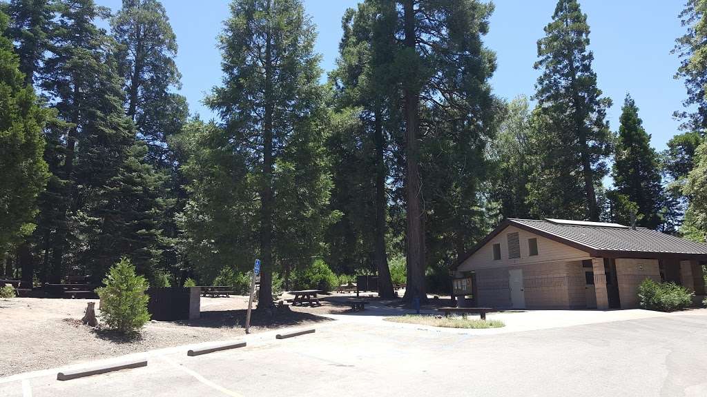 Dogwood Campground | 26898 Rim of the World Hwy, Rimforest, CA 92378, USA | Phone: (877) 444-6777