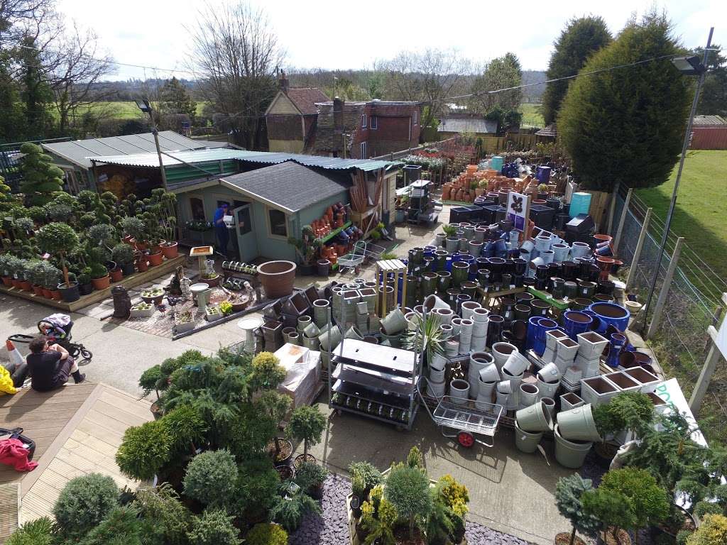 Flower Pot Nursery | Frant Rd, Tunbridge Wells TN3 9HB, UK | Phone: 01892 510190