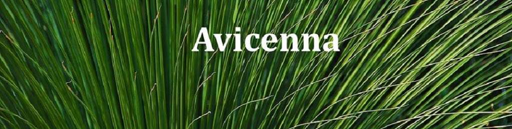 Avicenna Acupuncture & Lymphedema Clinic | 3411 W 38th Ave, Denver, CO 80211 | Phone: (303) 803-0675