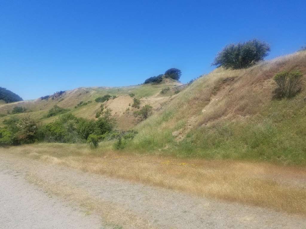 Quarry Trail Bench | Quarry Trail, Orinda, CA 94563
