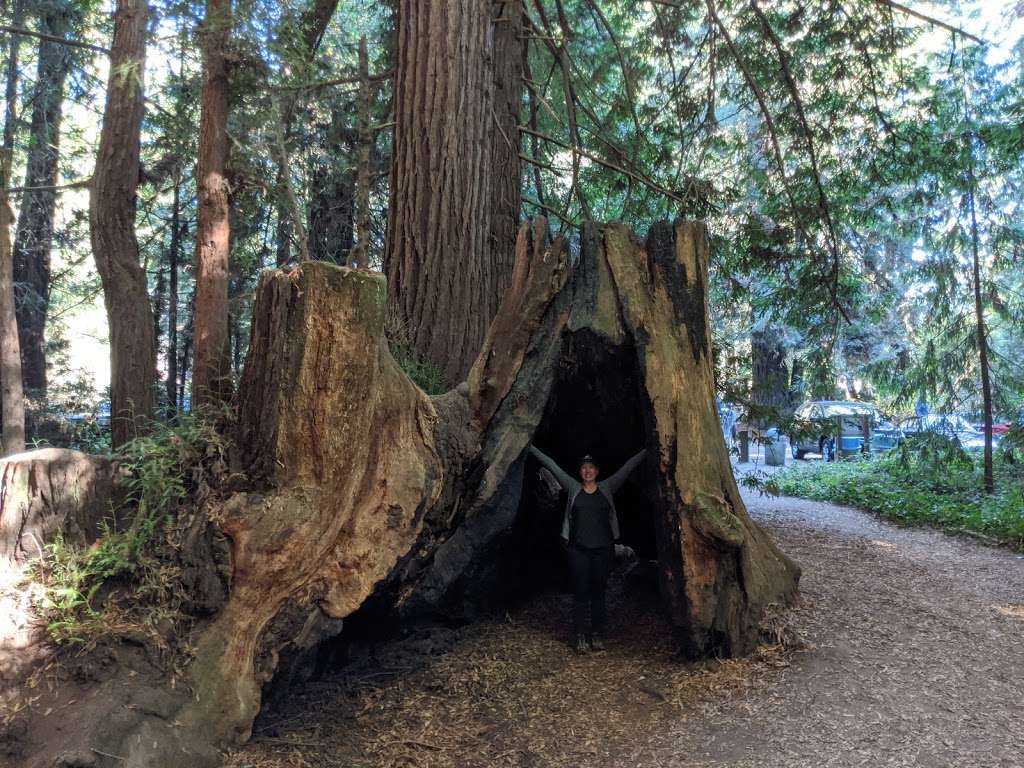 The Forest of Nisene Marks Entrance Station | 664-784 Aptos Creek Fire Rd, Aptos, CA 95003, USA