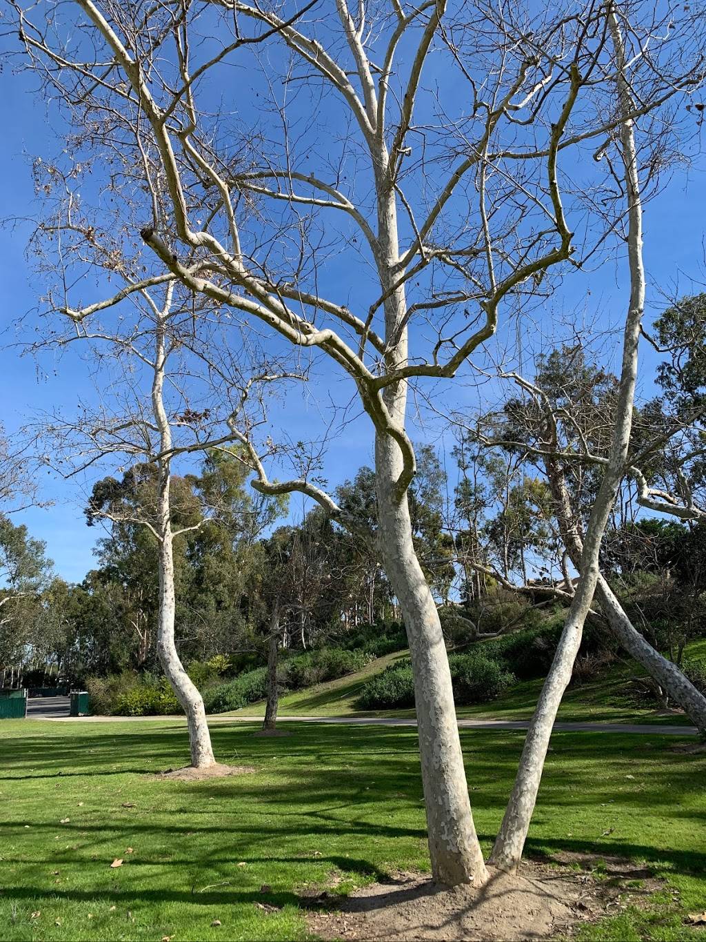 William R Mason Regional Park | 18712 University Dr, Irvine, CA 92612, USA | Phone: (949) 923-2220
