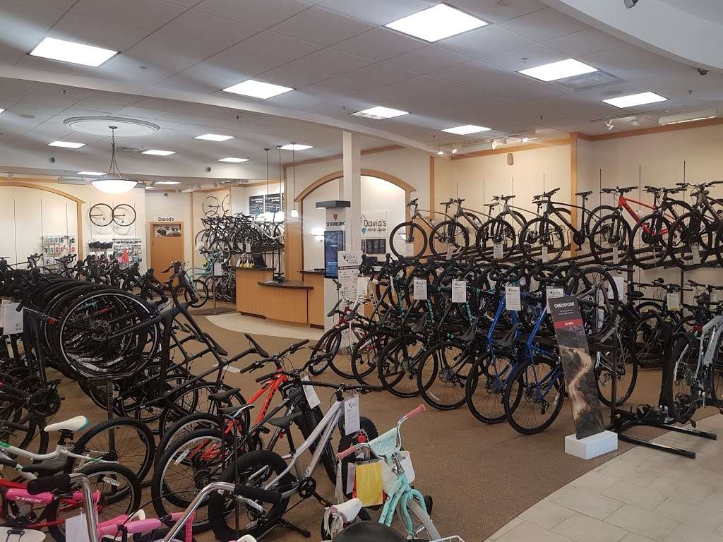 Davids World Cycle | 3279 Daniels Rd, Winter Garden, FL 34787, USA | Phone: (407) 654-7071