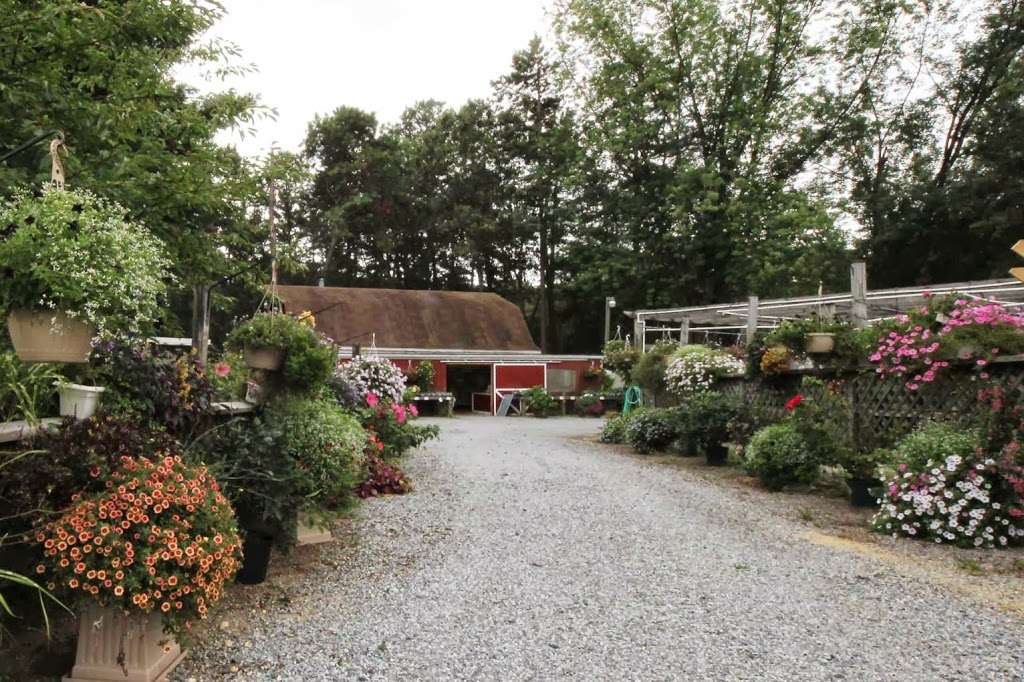 Flower Farm | 329 Carmel Rd, Millville, NJ 08332, USA | Phone: (856) 825-7486