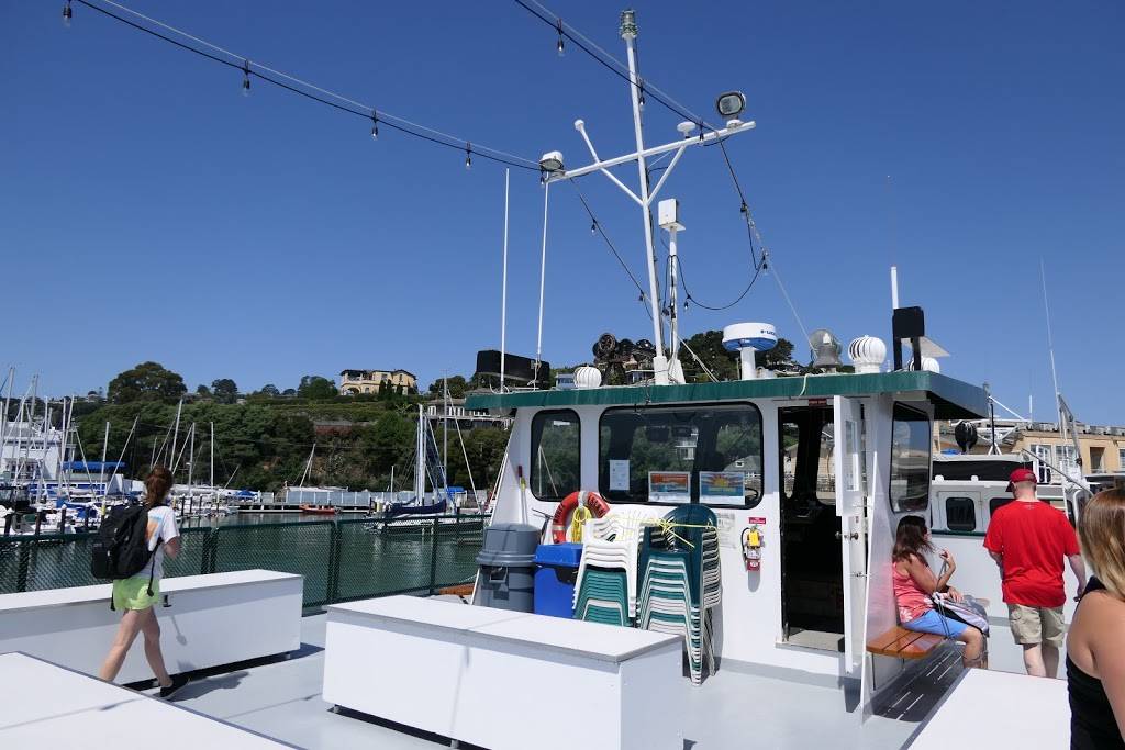 Angel Island - Tiburon Ferry | 21 Main St, Belvedere Tiburon, CA 94920, USA | Phone: (415) 435-2131