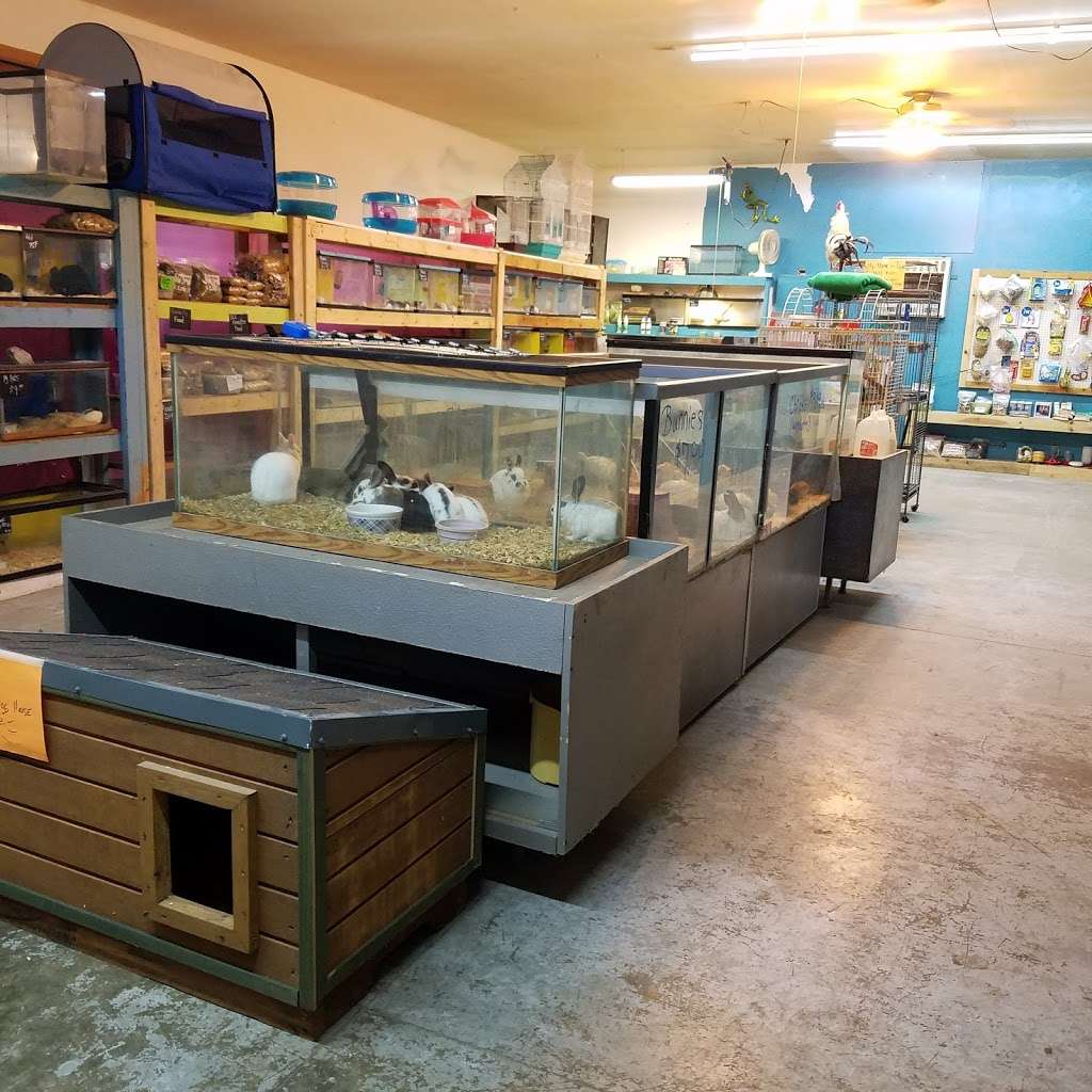 Somethin Fishy Pets & Gifts | 245 E Toto Rd, Knox, IN 46534 | Phone: (574) 806-2726