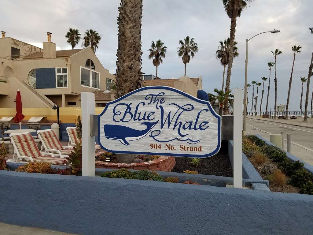 The Blue Whale | 904 N the Strand, Oceanside, CA 92054 | Phone: (760) 722-8849