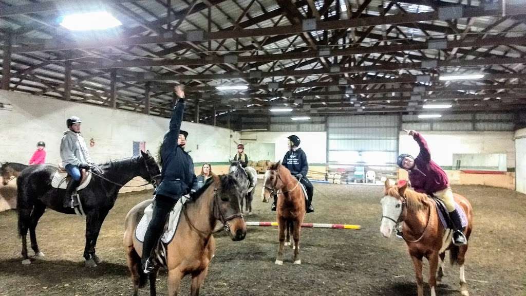 Woodstock Equestrian | 13401 IL-176, Woodstock, IL 60098, USA | Phone: (815) 814-6029