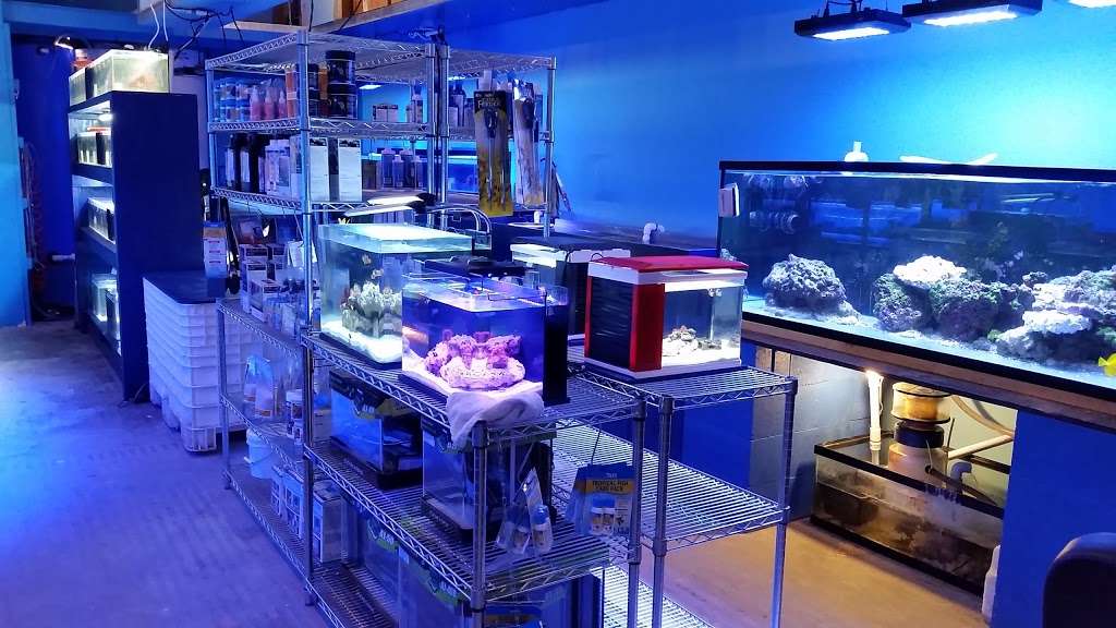 Deep Blue Aquarium | 5611 Willowcrest Ave, North Hollywood, CA 91601, USA | Phone: (818) 934-9716