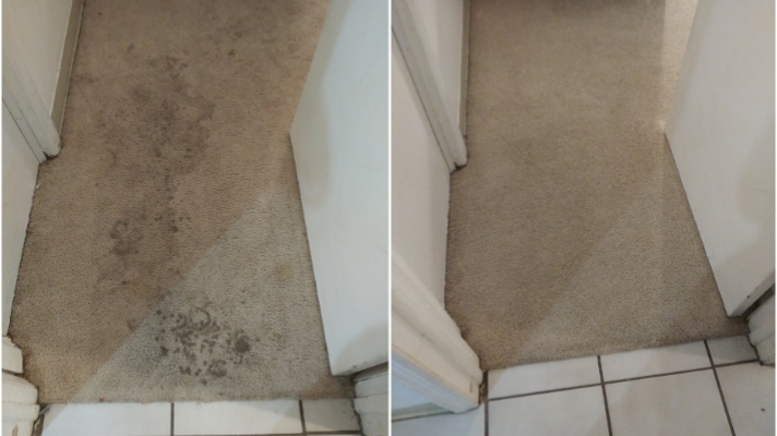 Carrollwood Carpet Cleaning LLC | 14006 Village Terrace Dr, Tampa, FL 33624, USA | Phone: (727) 873-8164