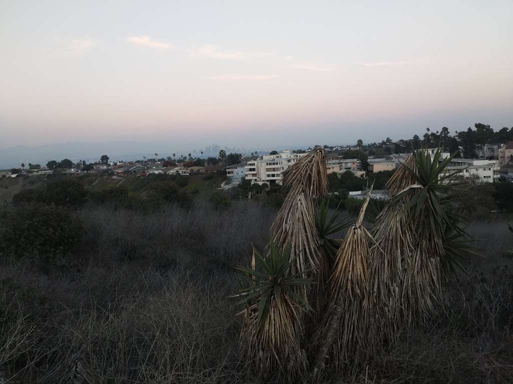 Kenneth Hahn View Point | Los Angeles, CA 90008, USA