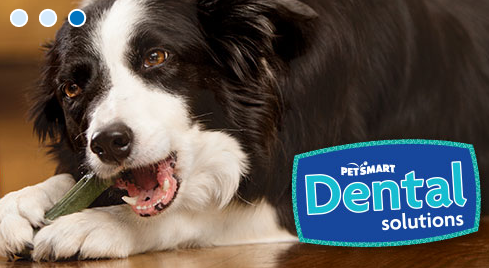 PetSmart | 2860 Dublin Blvd, Dublin, CA 94568, USA | Phone: (925) 241-2960