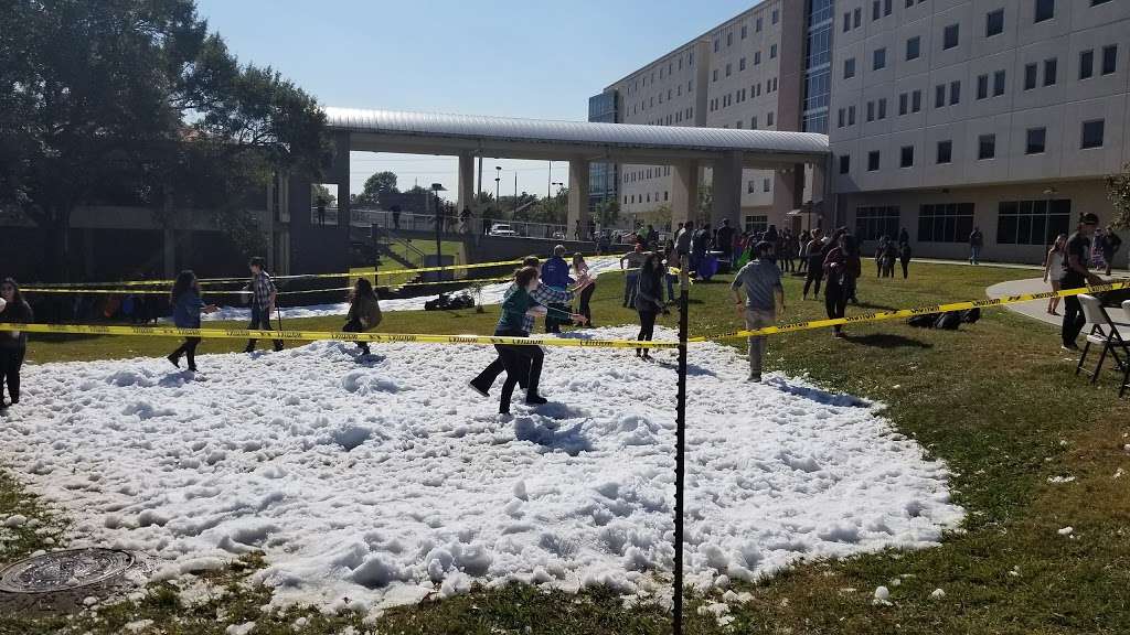 Lynn Eusan Park 4800 Calhoun Rd, Houston, TX 77004, USA BusinessYab