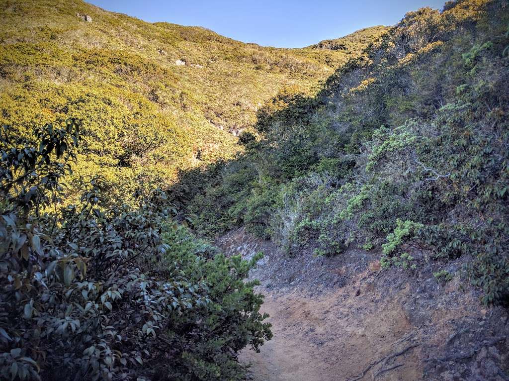 Montara Mountain (Top Of Mountain) Trailhead | N Peak Access Rd, Half Moon Bay, CA 94019, USA