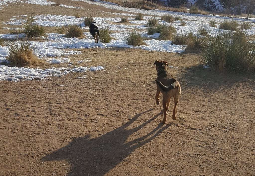 Dog Park | Castle Rock, CO 80108, USA