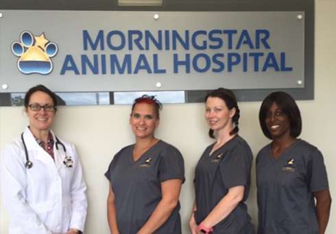 Morningstar Animal Hospital | 164 Summer St, Kingston, MA 02364, USA | Phone: (781) 936-8754