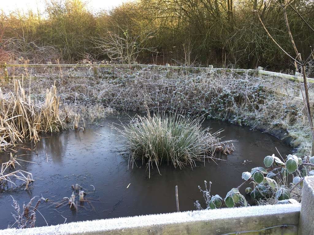 Pond and Rotary Centennial Wildlife Area | Colney Heath, St Albans AL4 0EZ, UK