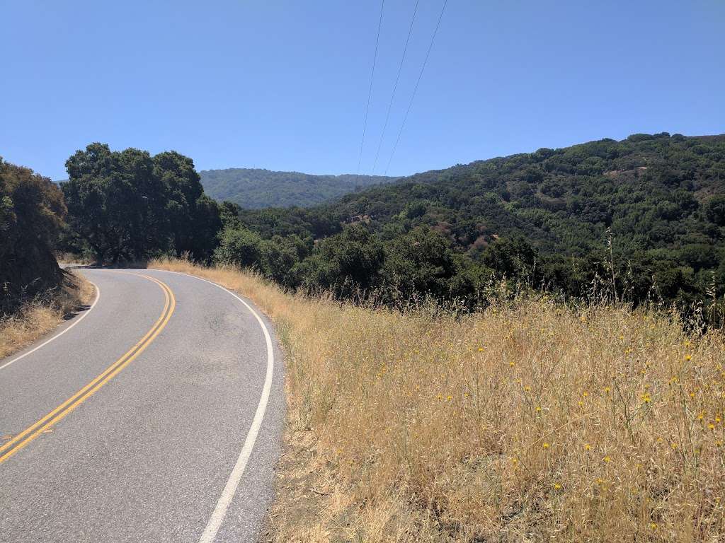 Foothills Park | 3300 Page Mill Rd, Los Altos Hills, CA 94022, USA | Phone: (650) 329-2423