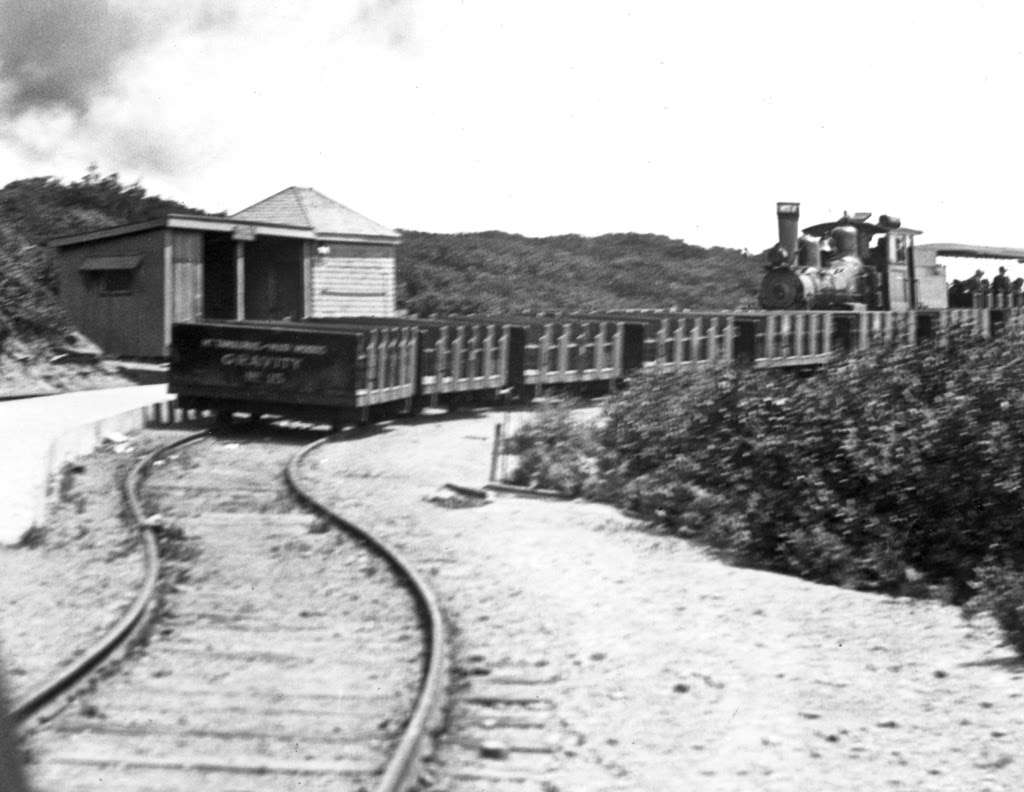 Double Bow Knot | Old Railroad Grade Trail, Mill Valley, CA 94941