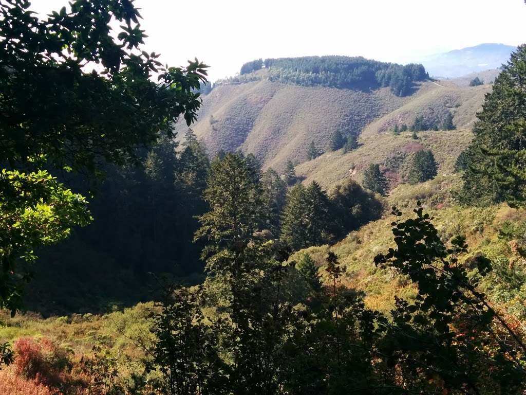 Purisima Creek North Ridge Trailhead | 13184 Skyline Blvd, Redwood City, CA 94062, USA | Phone: (650) 691-1200