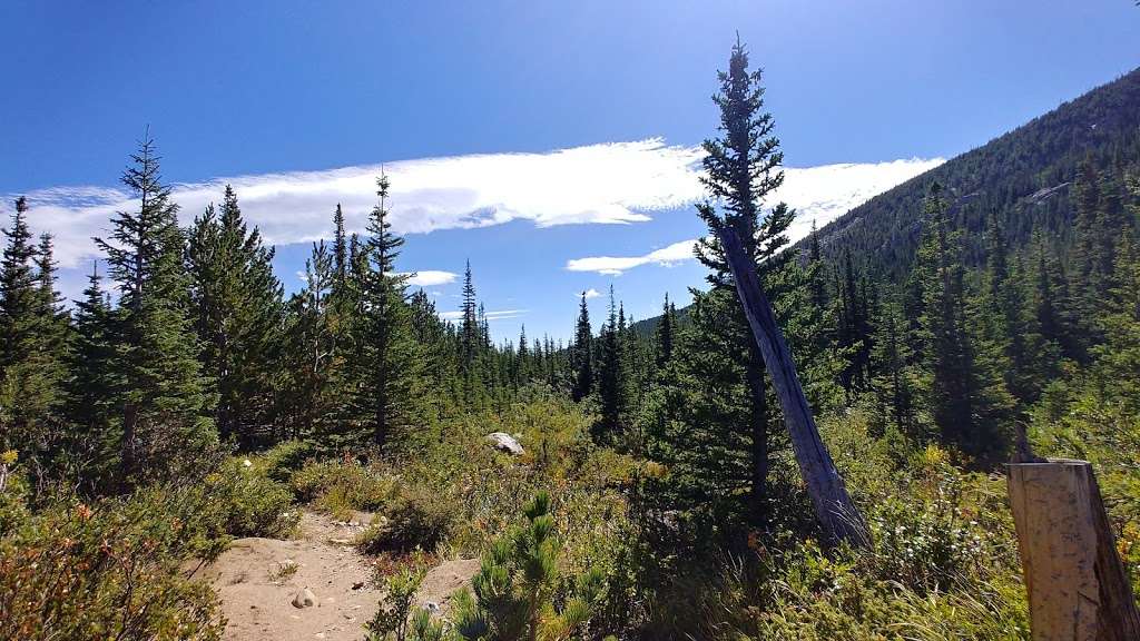 Indian Peaks Wilderness Ozuil trail | Nederland, CO 80466