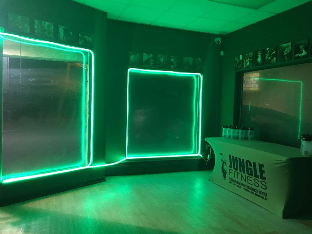 Jungle Fitness: Personal Training | 739 Park Ave, Freehold, NJ 07728 | Phone: (732) 513-2866