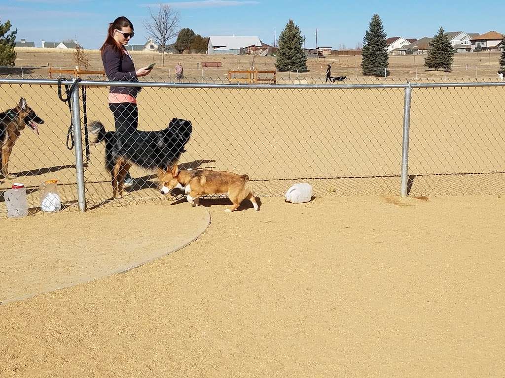 Broomfield Commons Dog Park | E 14th Ave & Sheridan Blvd, Broomfield, CO 80020 | Phone: (303) 469-3301