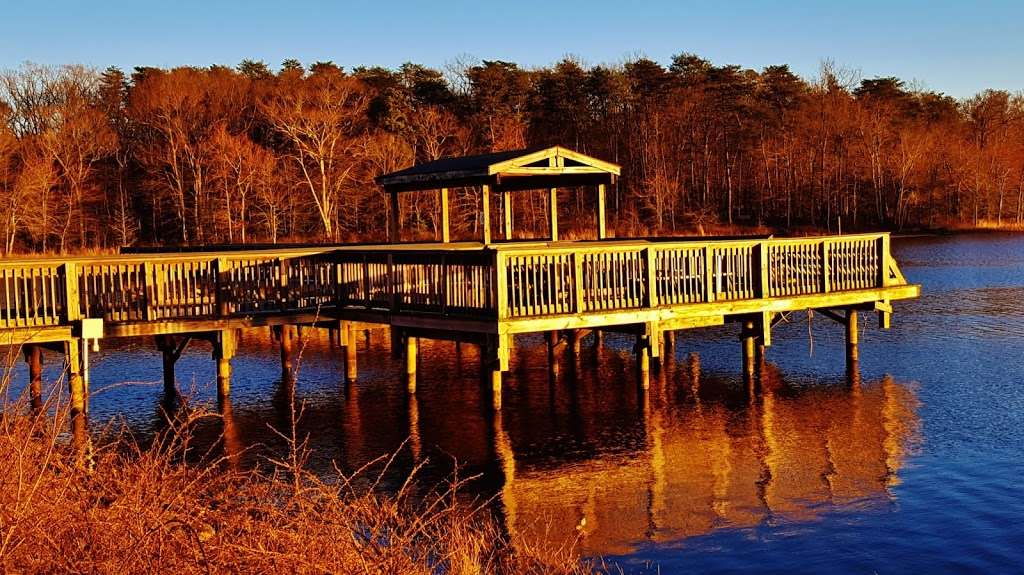 Cash Lake Fishing Area | Cash Lake Fishing Area, Bowie, MD 20720, USA