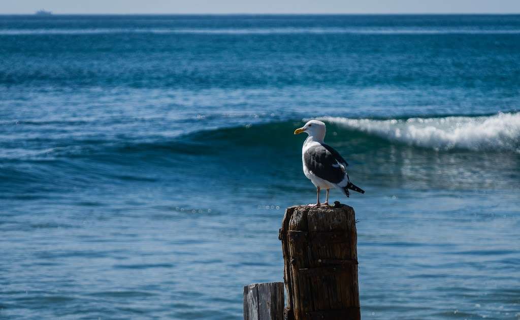 Malibu Lagoon Car Park | Malibu, CA 90265, USA