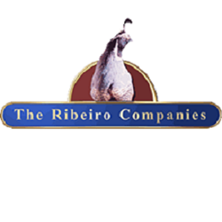 The Ribeiro Companies | 195 E Reno Ave A, Las Vegas, NV 89119, USA | Phone: (702) 798-1133