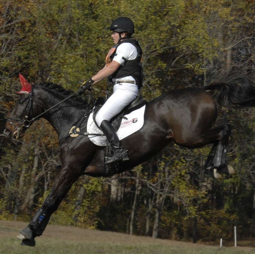 Penwick Sporthorses | 324 Haggerty Rd, Newton, NJ 07860, USA | Phone: (860) 235-5938