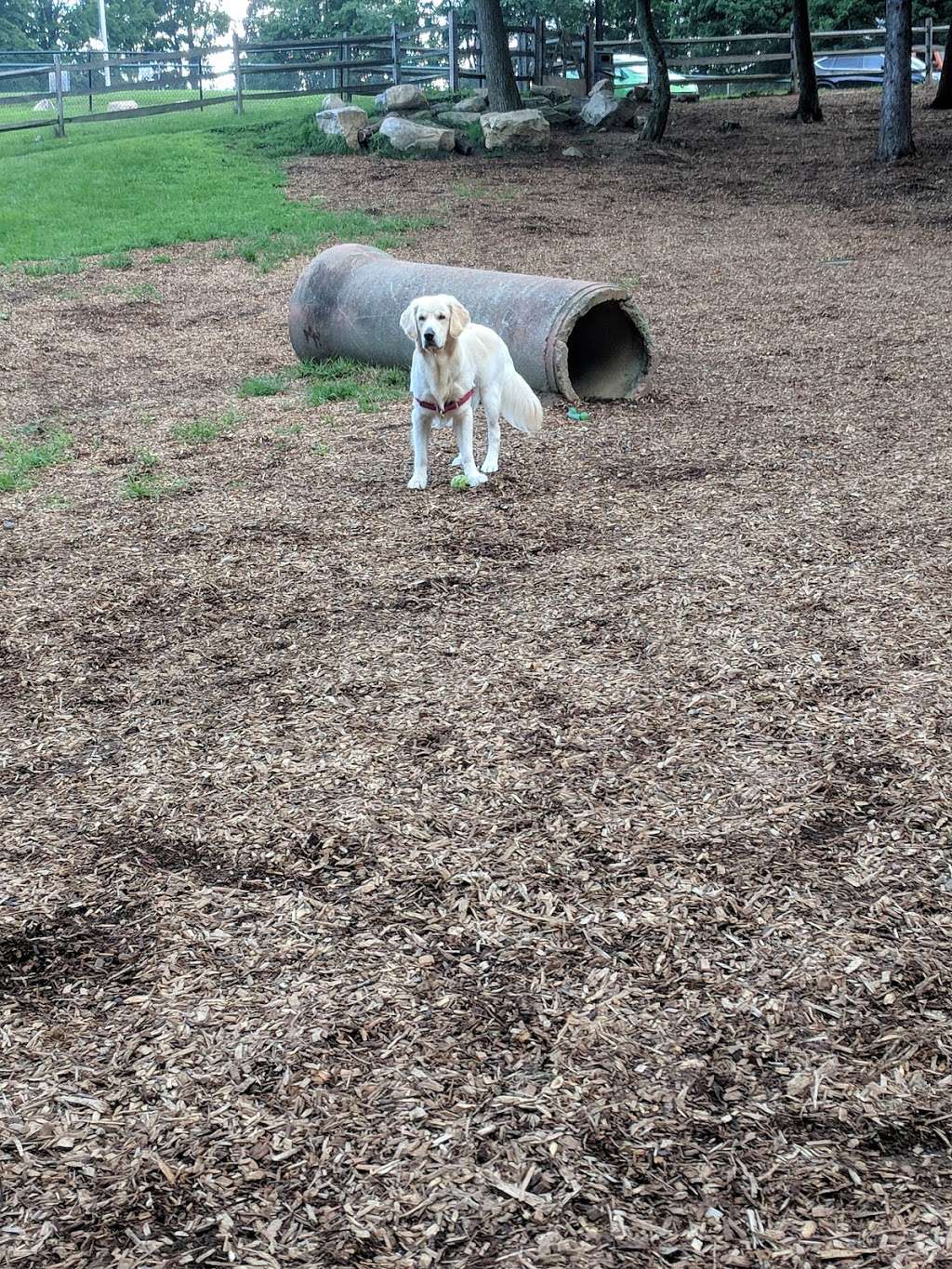 Bark Park Dog Park | 58 Prospect Ridge, Ridgefield, CT 06877, USA