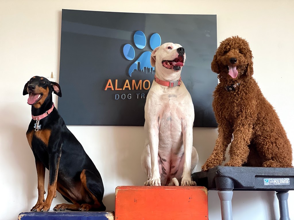Alamo City Dog Trainers | 5835 FM1863, Bulverde, TX 78163, USA | Phone: (210) 679-1495