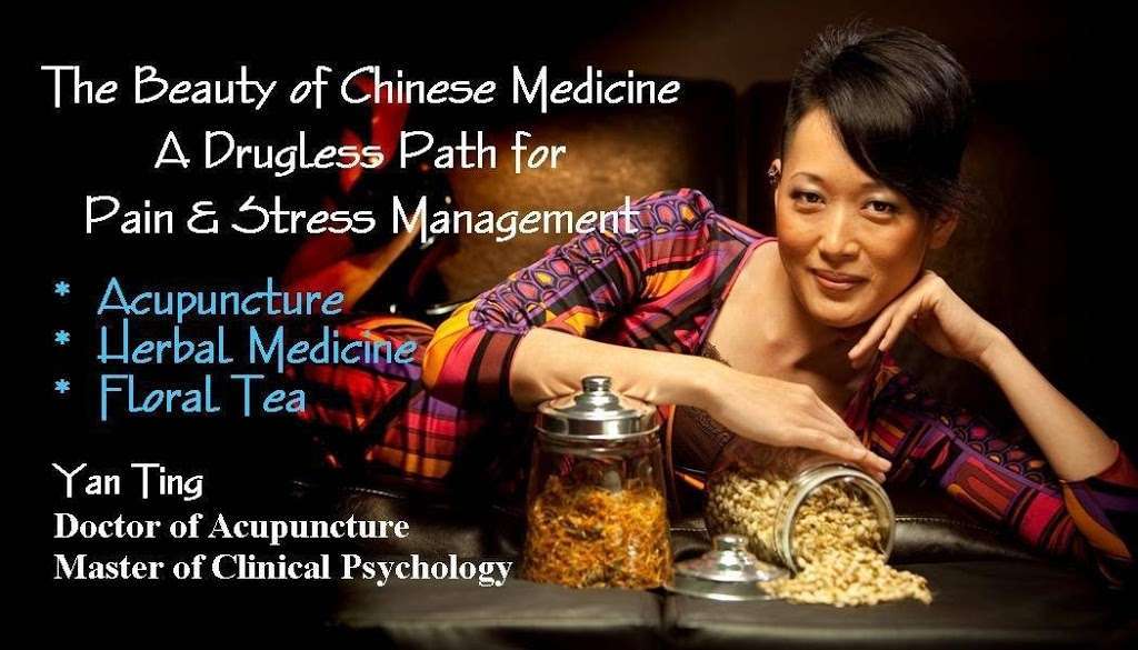 Yan Ting DAc LAc Acupuncture | 109 Newtown Rd, Brookfield, CT 06804 | Phone: (203) 558-6169